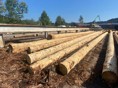 Sägewerk Obermaier - Zertifiziertes Bauholz